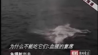 巢湖學院 學貫江淮，筑夢前行